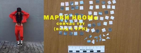 стаф Алзамай