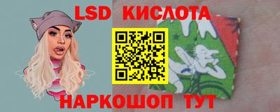 PSILOCYBIN Заводоуковск