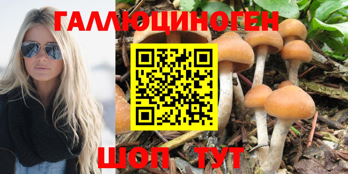 Галлюциногенные грибы GOLDEN TEACHER  Вход с VPN  где найти наркотики  Нарткала 